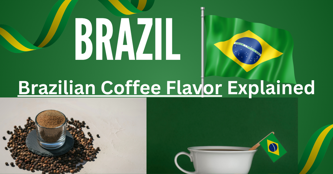 Brazilian Coffee Flavor Profile Explained