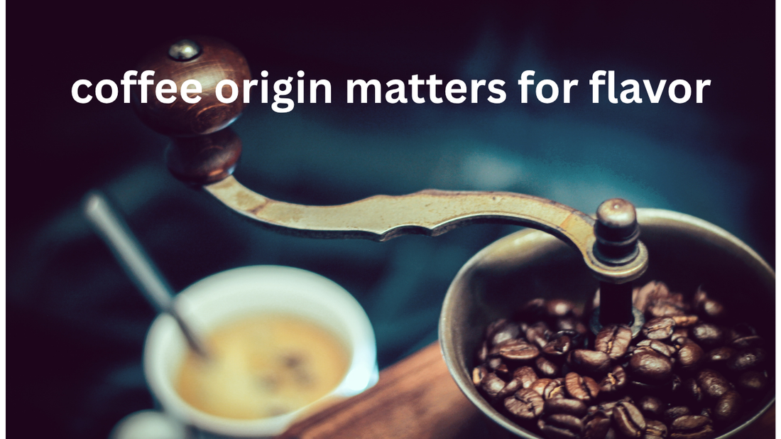 Why Coffee Origin Matters in Every Cup