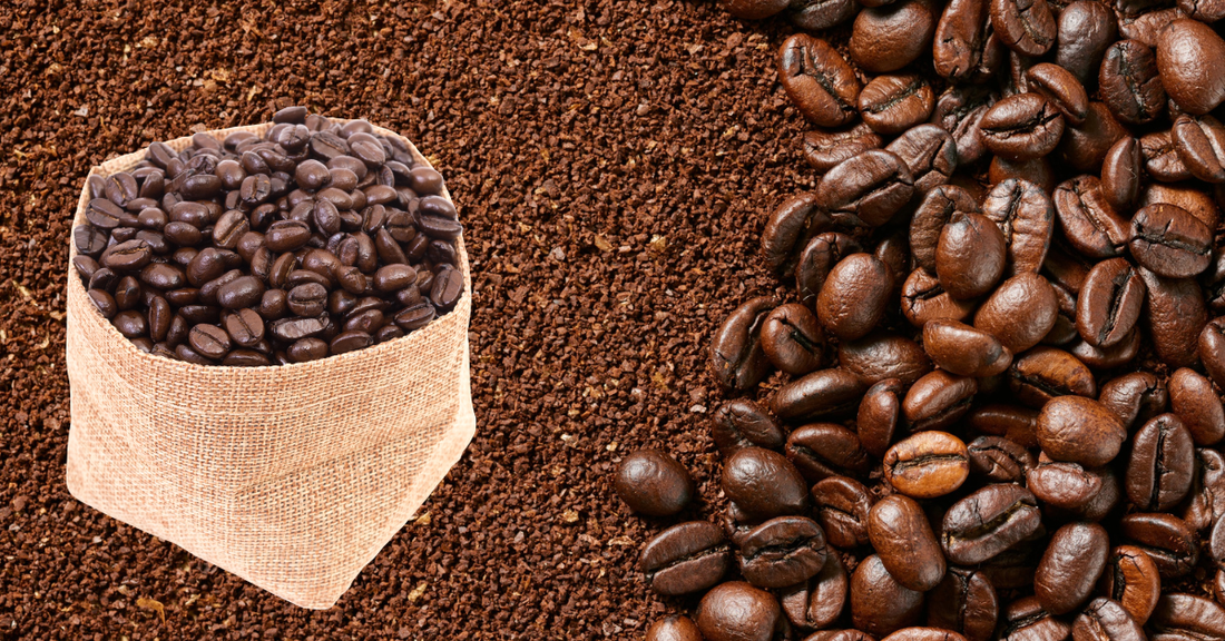 What Is Latin American Coffee?