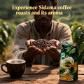 Del Sol Sidama Coffee