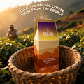 Guatemala Del Sol Coffee